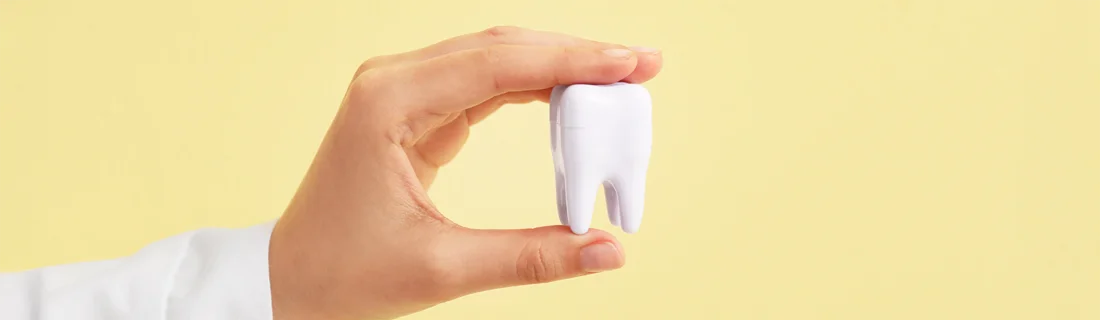 CBCT in Media PA